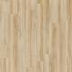 22220 Blackjack Oak