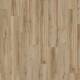 22229 Blackjack Oak