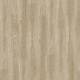 24280 Verdon Oak