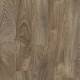 24838 Chester Oak