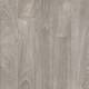 24948 Chester Oak