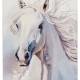 TOK237 White Beauty