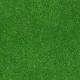 000369 Grass