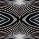 000402 Zebra