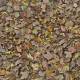 000509 Autumn leaves-green