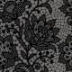 000535 Lace