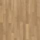 010042 Steamed Beech