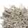 034 Oyster Grey