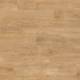 0796 Swiss Oak Golden