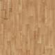 11162 Tropical Beech