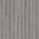 24401202 Forest Oak Ashen