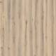 24401227 Forest Oak Nutmeg