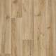 2842 Golden Oak