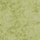290014 Lime