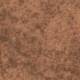 290028 Ginger