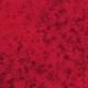 290031 Cherry