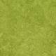 324735 Green