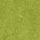3247 Green