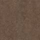 387435 Walnut