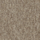 4288011 Bark