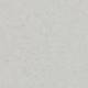 50003 Light neutral grey