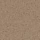 50025 Earth