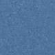 50038 Blueberry