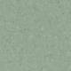 50050 Olive