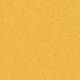 50054 Amber