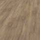 56282 Water Oak