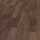 56288 Scarlet Oak