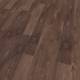 56288 Scarlet Oak
