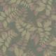 640001 Autumn