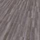 65811 Macclesfield Pine