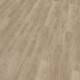 66219 Bedgebury Oak