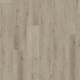 8202 Forest Oak Light