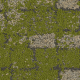 8341001 Granite-Moss
