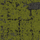 8341004 Onyx-Moss