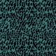 980106 Cornflower