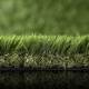Green Experience