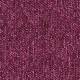 672726 Fuchsia (PD)