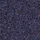 672731 Bilberry (SD)