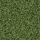 4175016 Moss