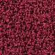 4176011 Bougainvillea
