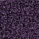 4176012 Grape