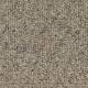 1628004 Meadow