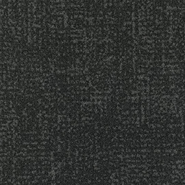 246007 Ash
