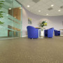 Forbo Surestep Star vinyl bedrijf
